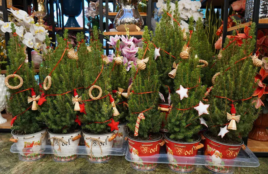 Antalya’da Yılbaşı Sepetleri 3 Bin TL’den Başlıyor 6